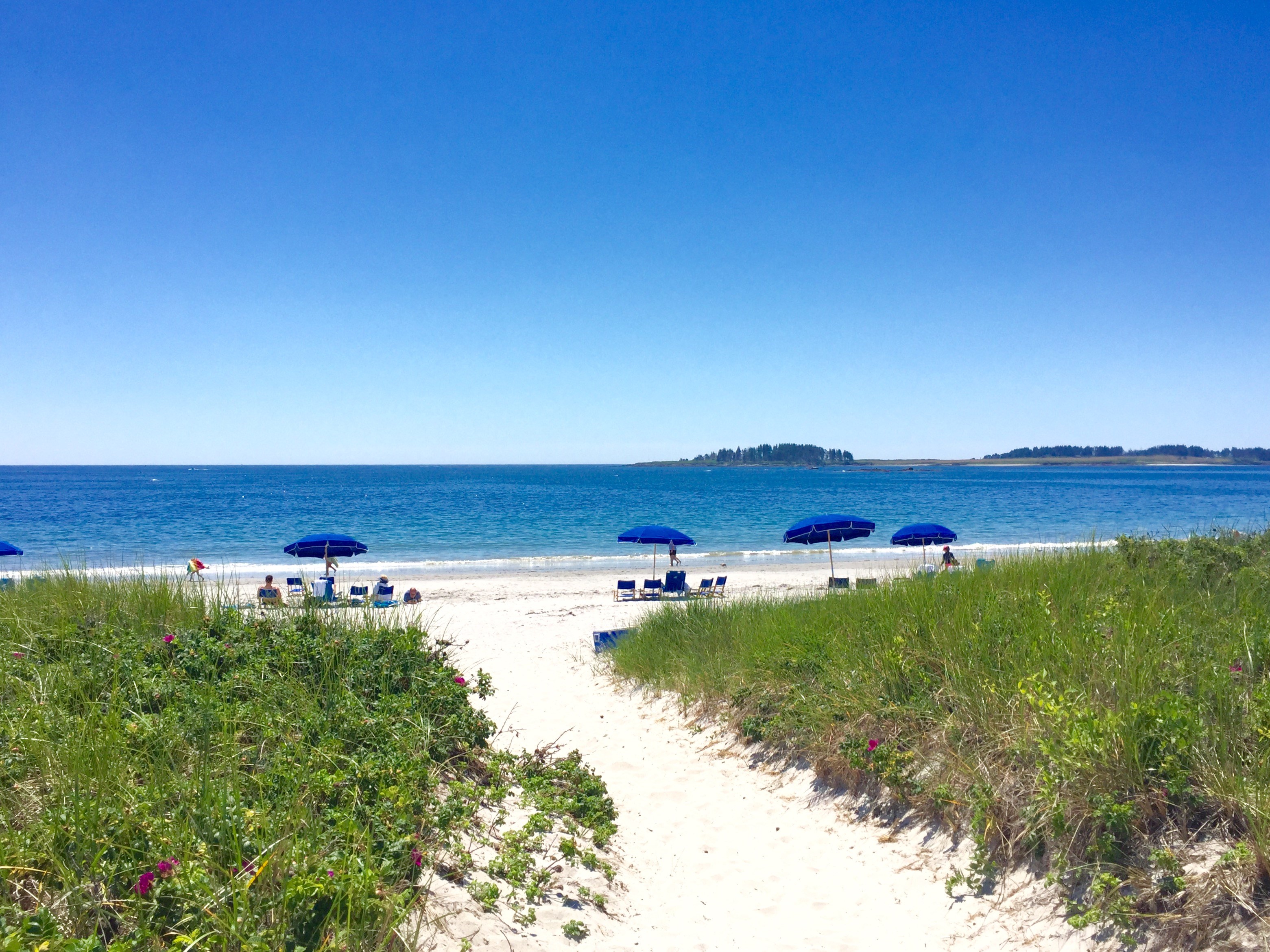 Path To The Beach With Umbrellas