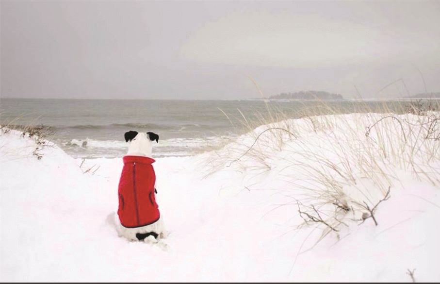 Winter At Inn By The Sea Maine