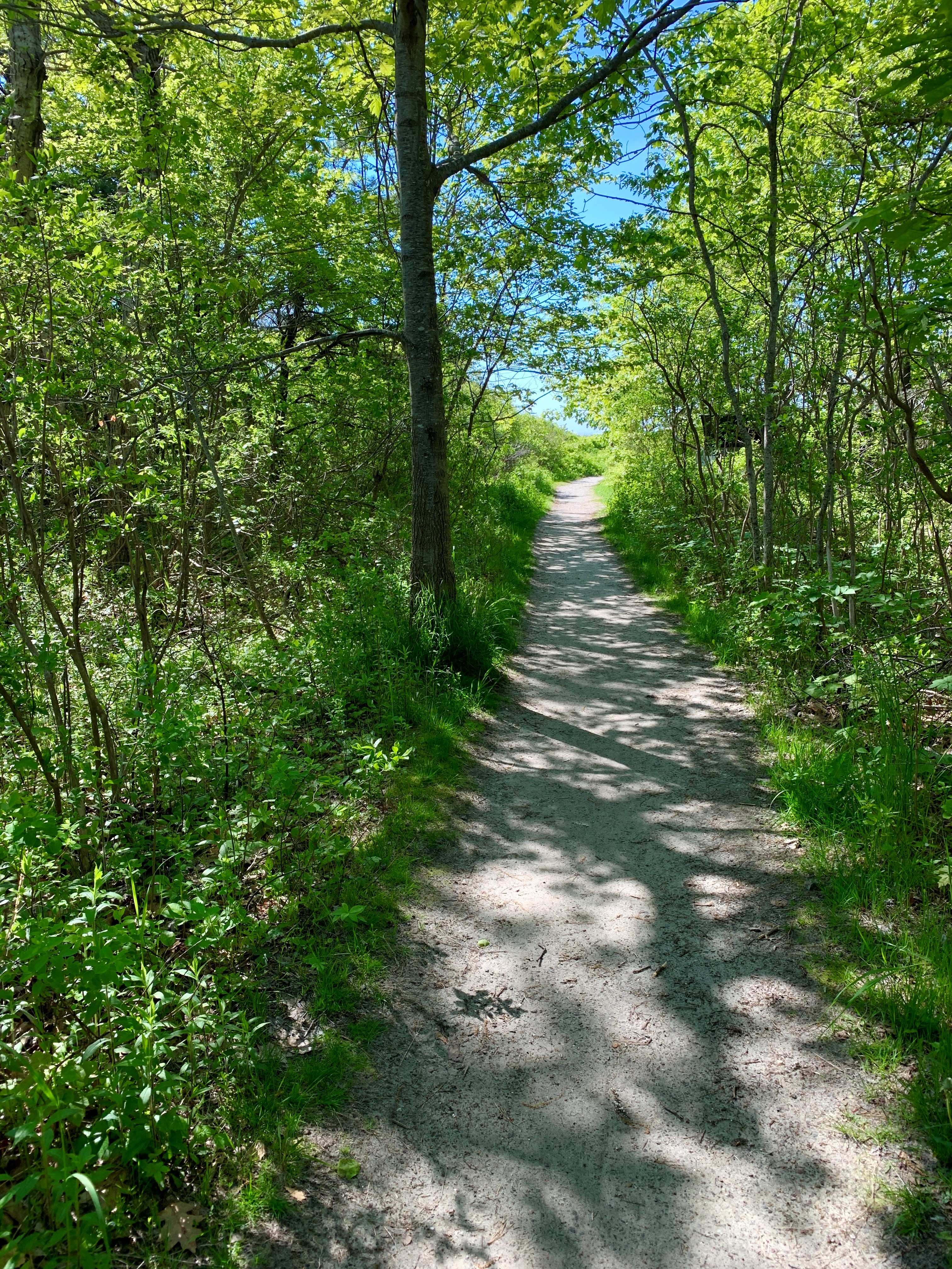 Trails & Nature Walks In Cape Elizabeth, Maine