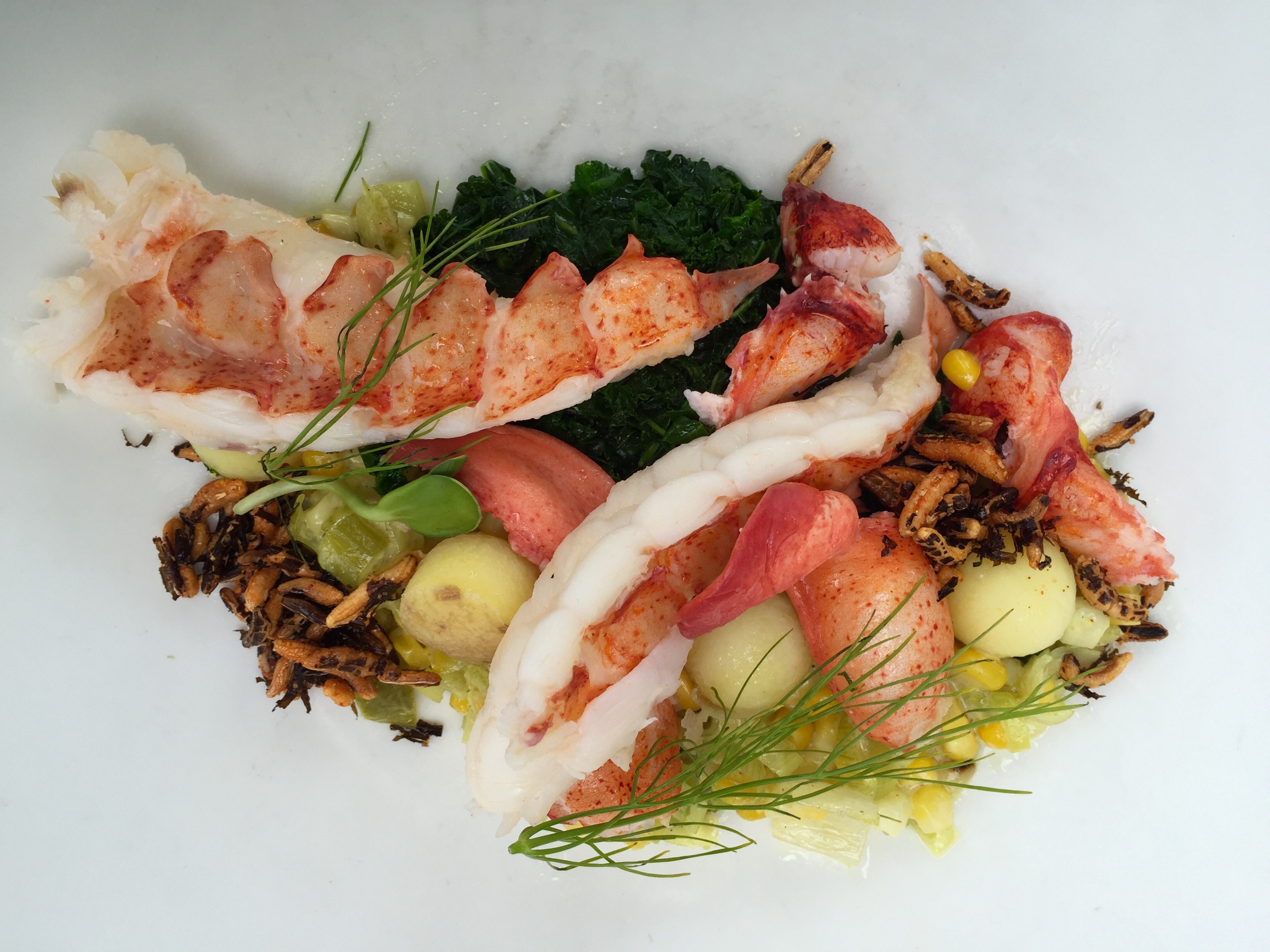 Summer Season Menu Sea Glass Restaurant Maine