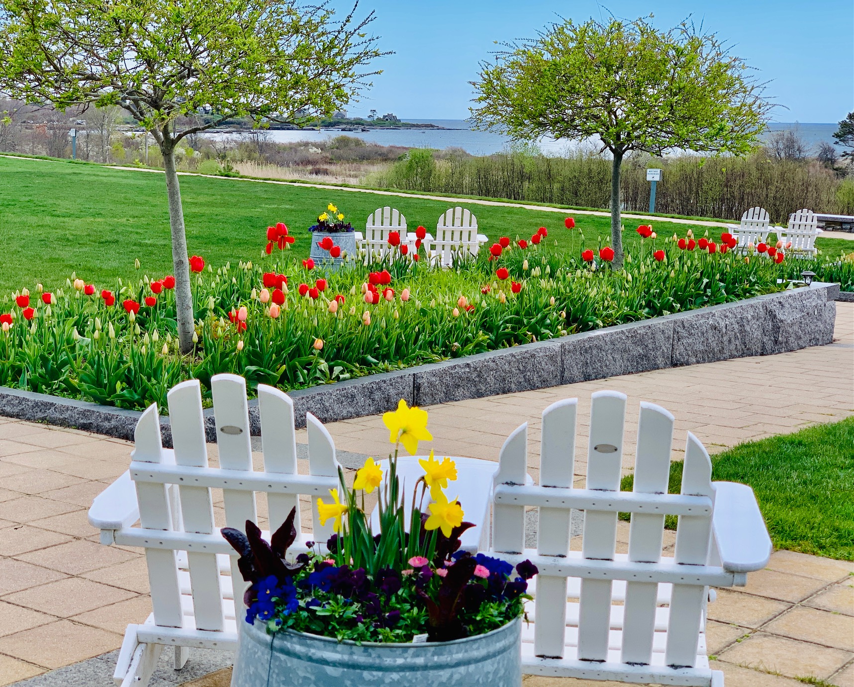 2021 Tu;Ips And View